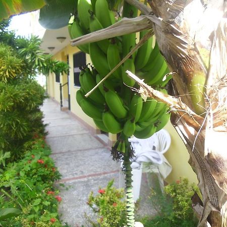 Residencial El Mirador Aparthotel Boca Chica Ngoại thất bức ảnh